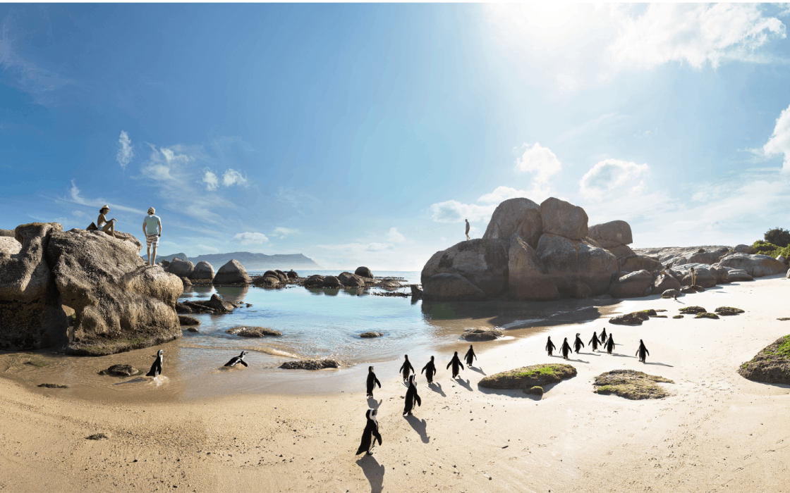 Cape Town Beach Coach Charter Location